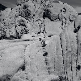 Joshua Tree NP Rock Formation