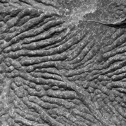 Namibia Fish River Gorge Rock B