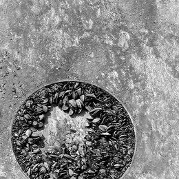 Ship Wreck On The Shore Istambul