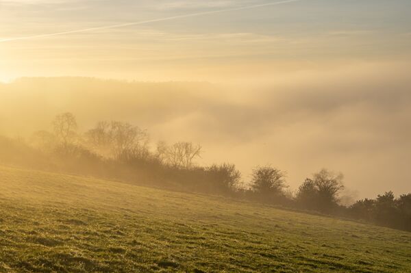 Bulbarrow Hill Fog