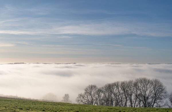 Bulbarrow Hill Fog