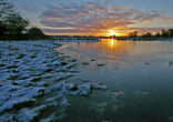 Cowgrove Dawn