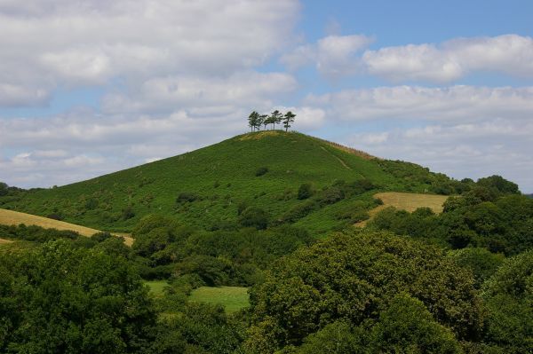 Dorsetgallery: Colmer Hill