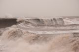 The Cobb