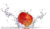 Splash