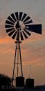 Aermotor windmill