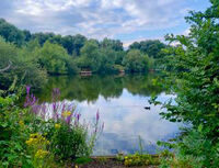 Down By The Lake