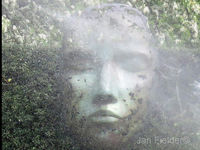 Face In The Mist