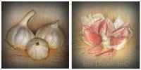 Garlic Clove