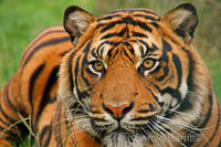 Heres Looking at You
