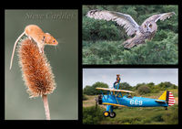 John Phillips Trophy 2nd Place Images