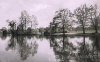 Lakeview