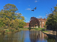 Langtons Flypast