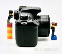 Say Cheese