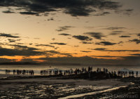Sunset at Snapper Rock