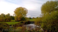 The River Nene