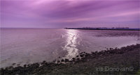 Thorny Bay