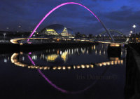 View On The River Tyne