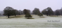Snow On The Weald