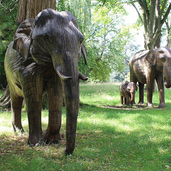 Elephant Family