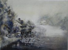 Feeding Swans in Caversham