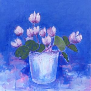 Lilac Cyclamen