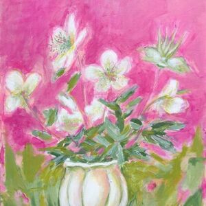 Helleborus