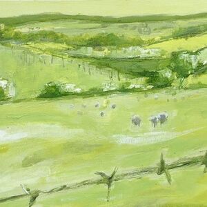 Sheep with Barbed Wire