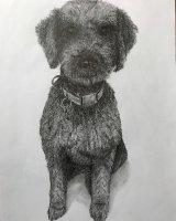 Graphite Jack