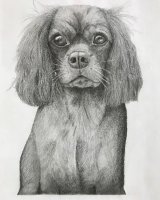 Graphite Milli