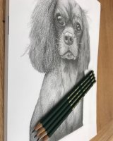 Graphite Milli pencils