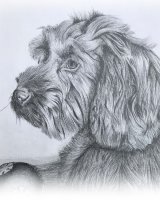 Graphite Molly Christmas