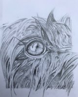 Graphite Molly wet eye