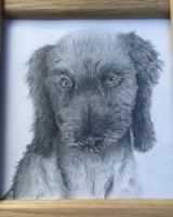 Graphite Oak framed Molly