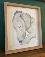 Graphite Odie framed 2