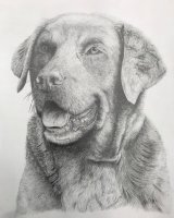 Graphite lab