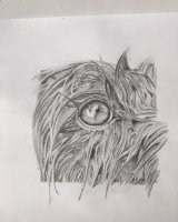 Graphite wet Molly eye
