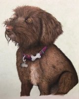 Pastel Molly