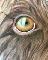 Pastel wet Molly eye detail