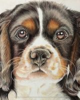 Pencil King Charles
