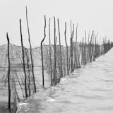Fishing Net