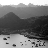 Fishing Bay
