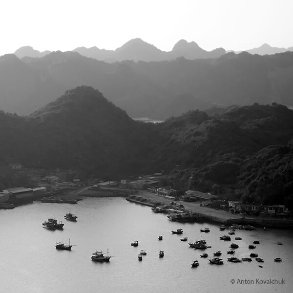 Fishing Bay