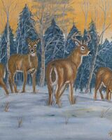 Vanier, Normand