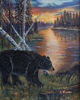 Ours au coucher de soleil