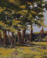 Beauséjour, Normand