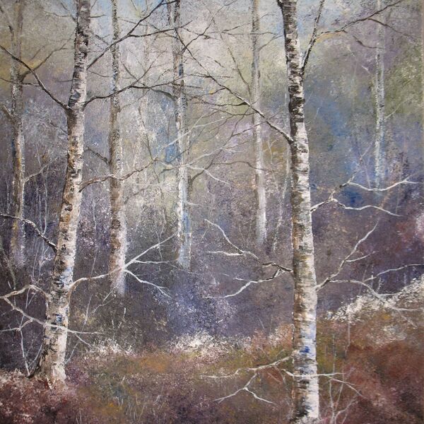 Birch Forest Frost