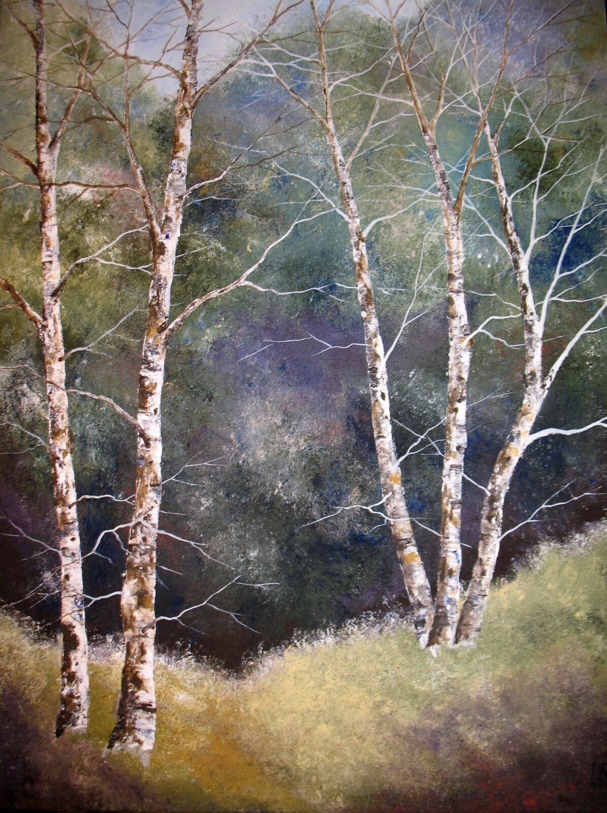 Silver Birch
