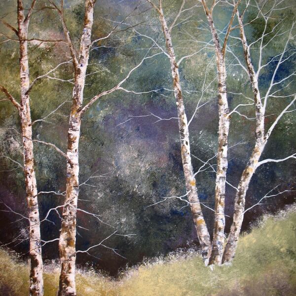 Silver Birch