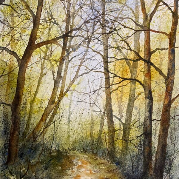 Bridleway above Bow Brook, Feckenham